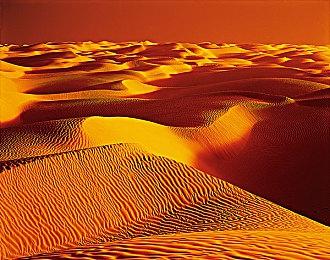 《星空》将推限定Xbox手柄和无线耳机 6月亮相