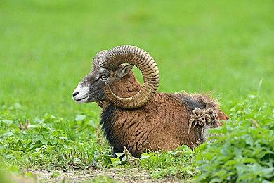 《逃离塔科夫：竞技场》Beta版面向测试玩家发布