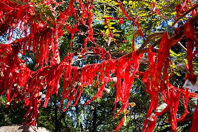《失落之魂》跳票至8月29日发售 需更多时间优化打磨
