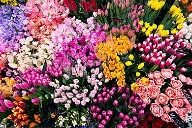 TGA 2022：最终赢家《艾尔登法环》获年度游戏桂冠